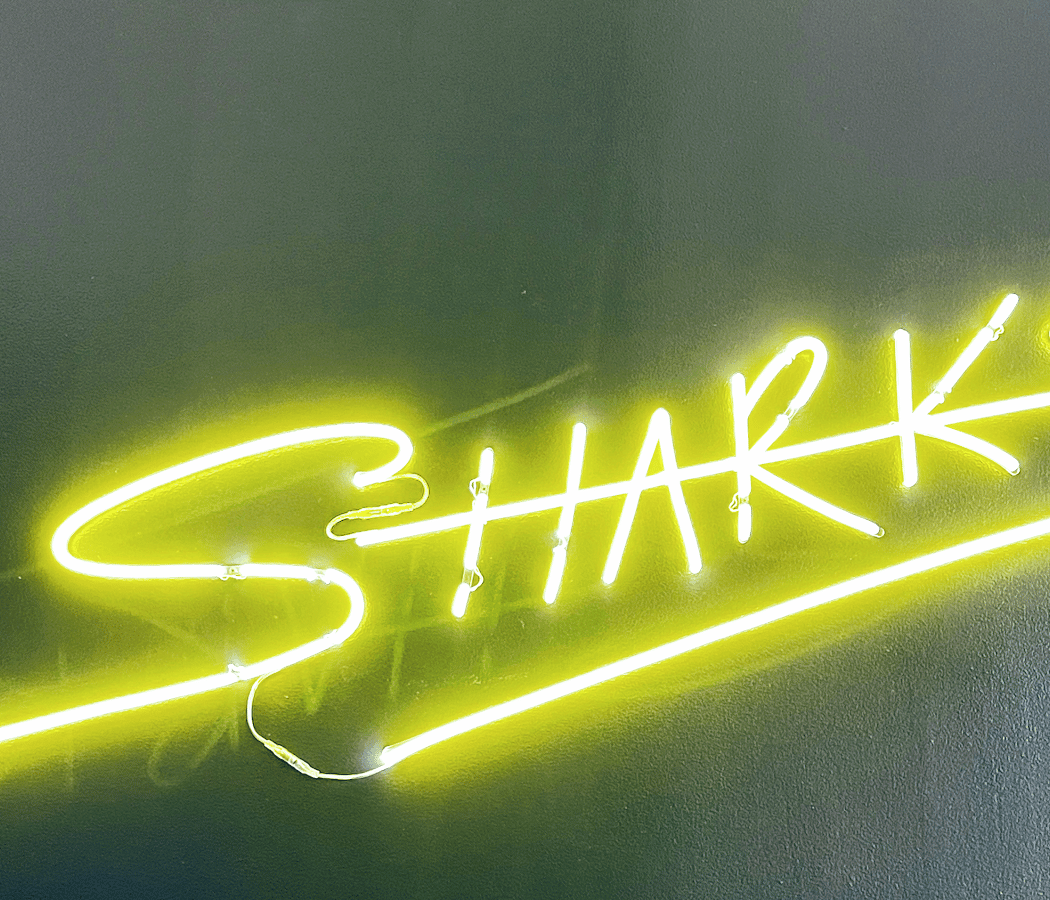 Sharks Pool Club 2