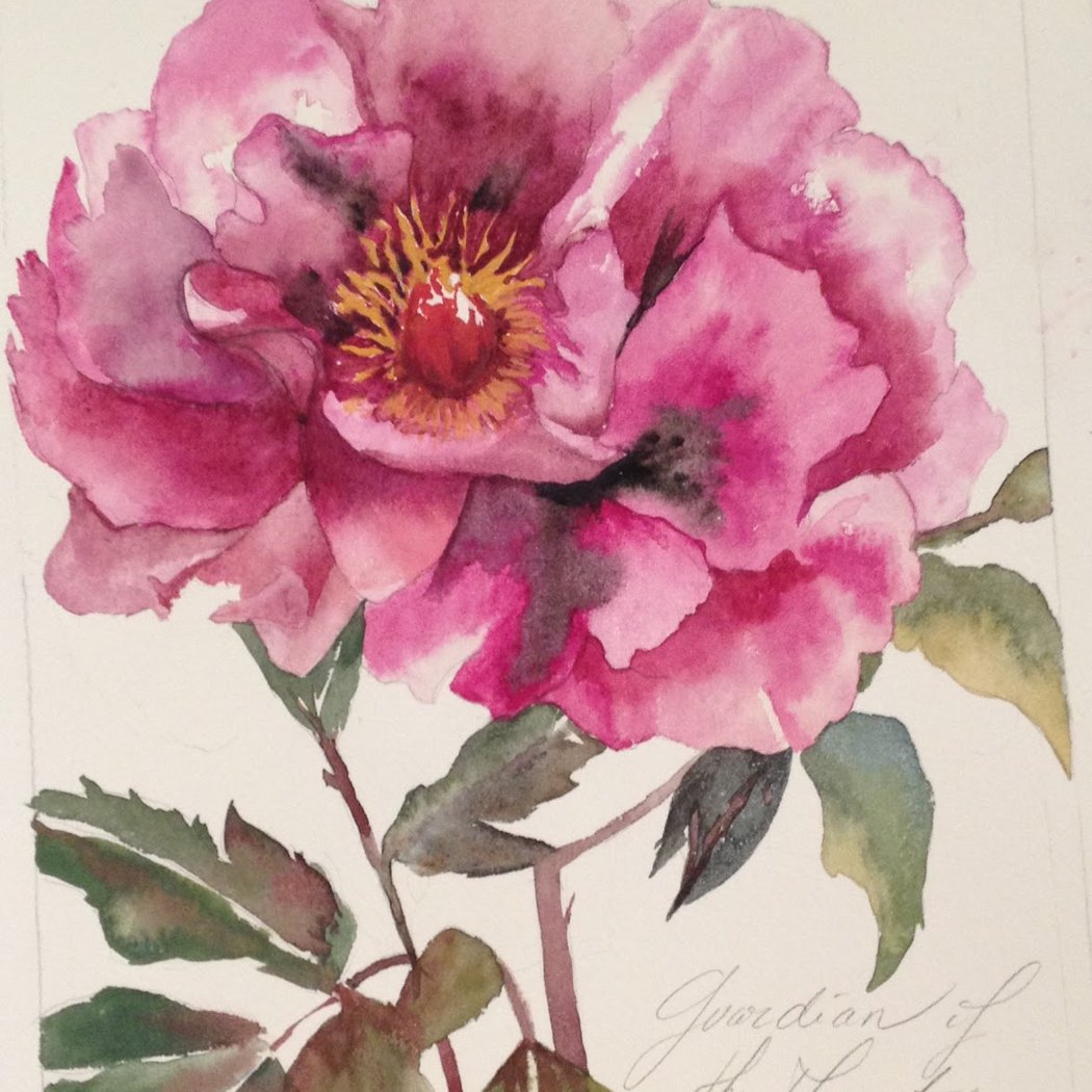 Workshop Watercolor Cmc / Course & Internship D'aquarelle 2