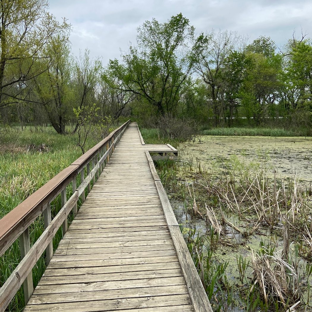 Summer Discovery Walk 1