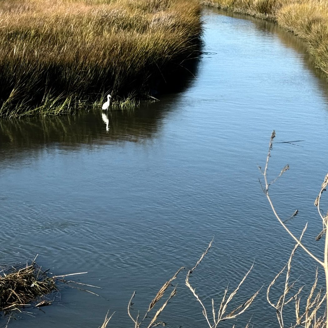 Heron Bay trail 1