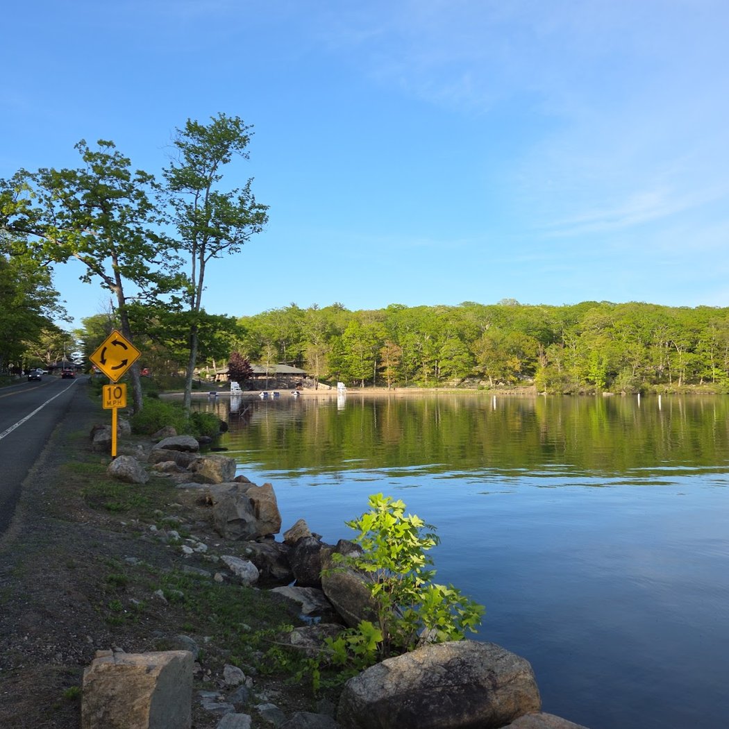 Lake Tiorati Beach 3