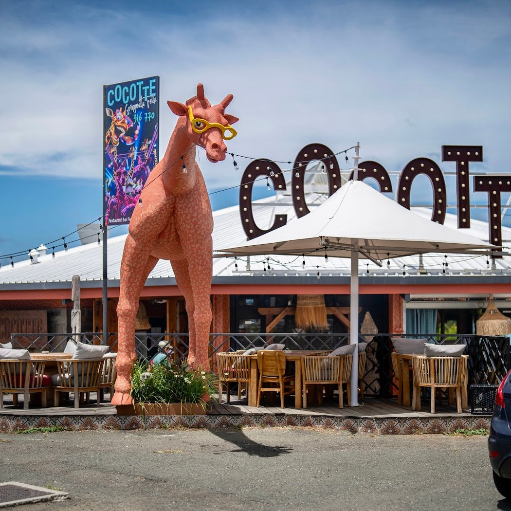 Cocotte 2
