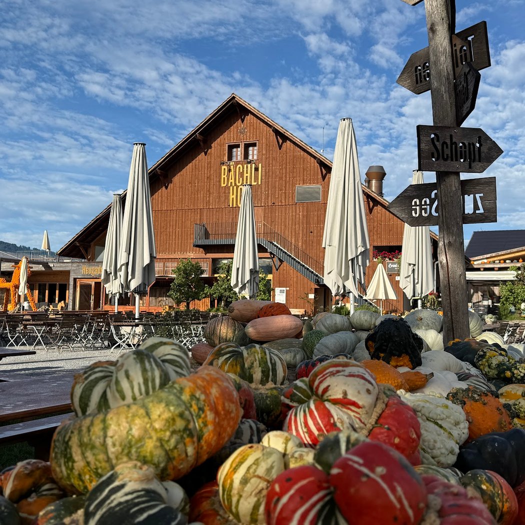 Jucker Farm Pumpkin Exhibition 2