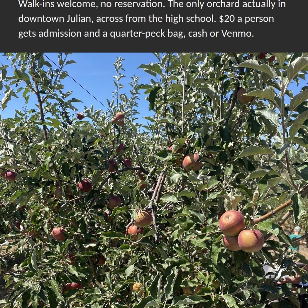 Mesa Blooms Orchard 1