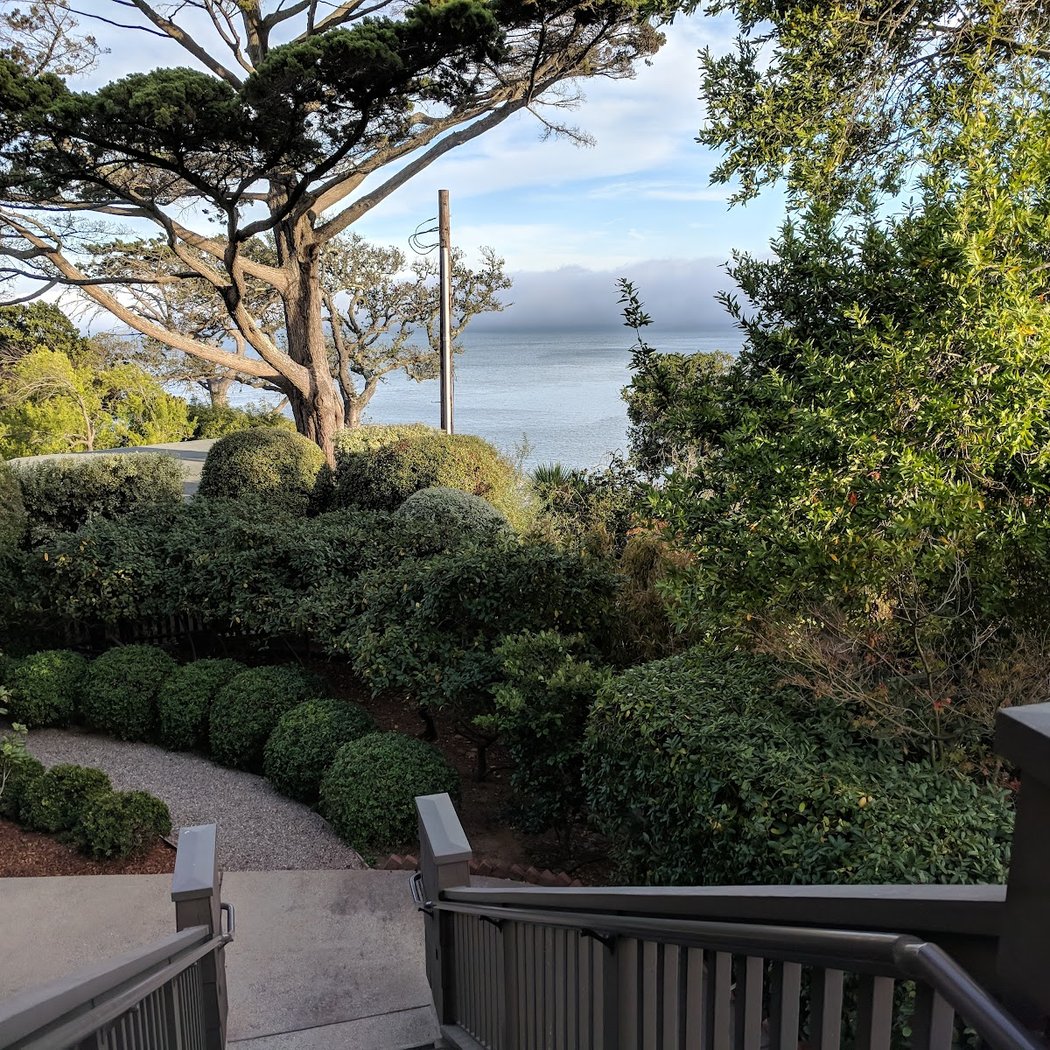 HISTORY WALK: BELVEDERE STAIRS + LAGOON LOOP 1