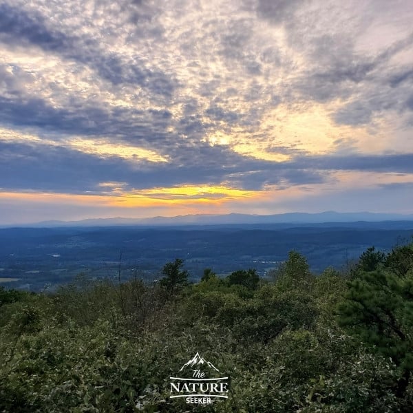 Taconic State Park - Copake Falls Area 3