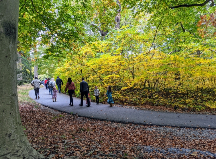 Tyler Arboretum: Family Explorers