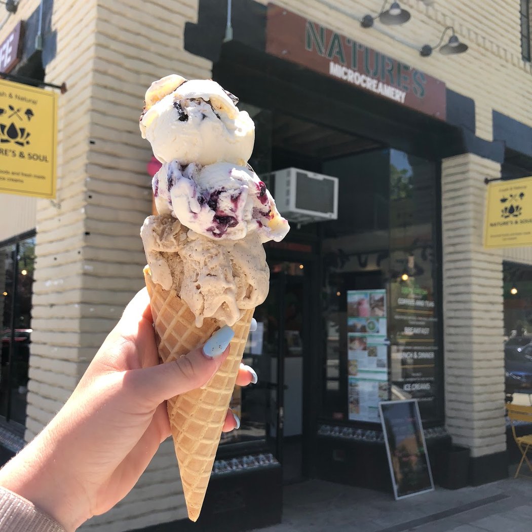 Nature’s Organic Ice Cream 1