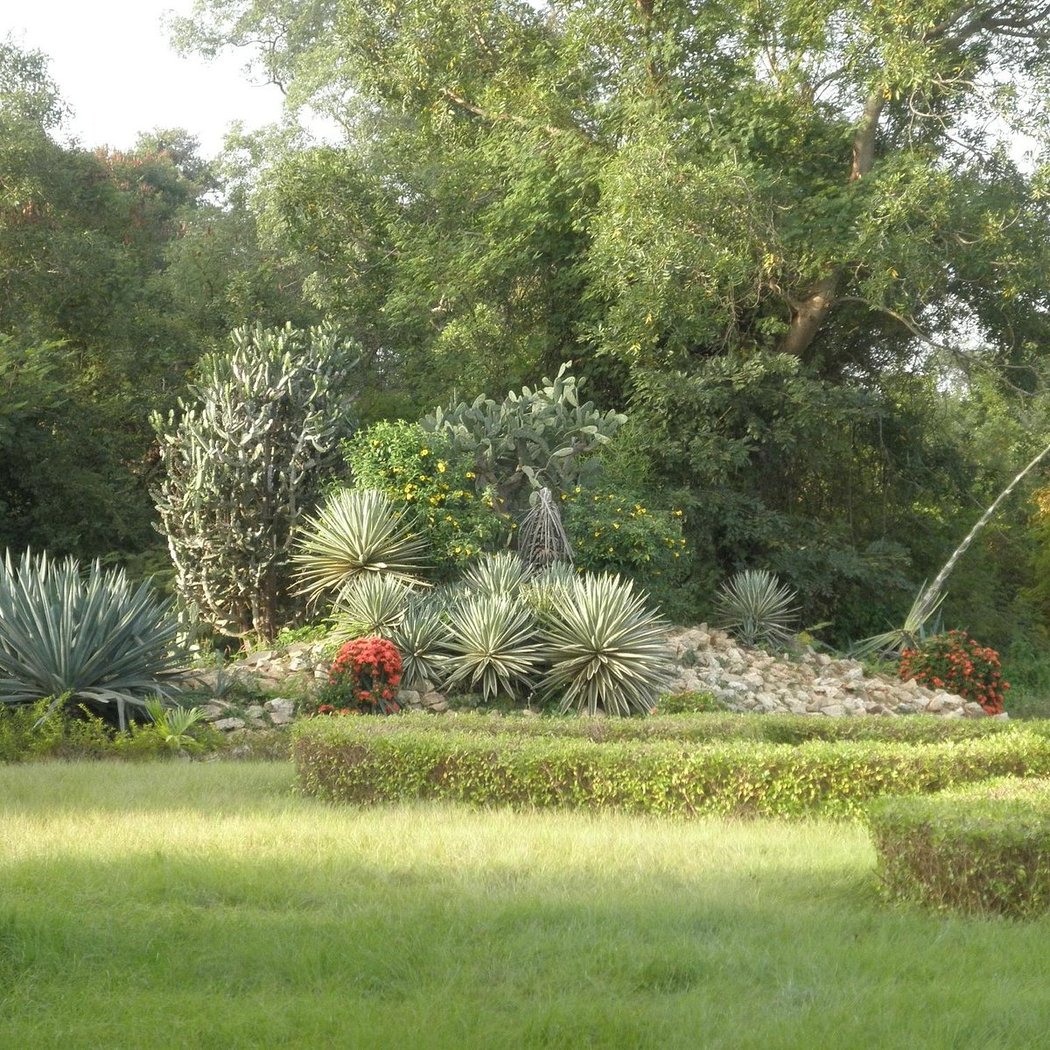 Bangr Weogo Park 1