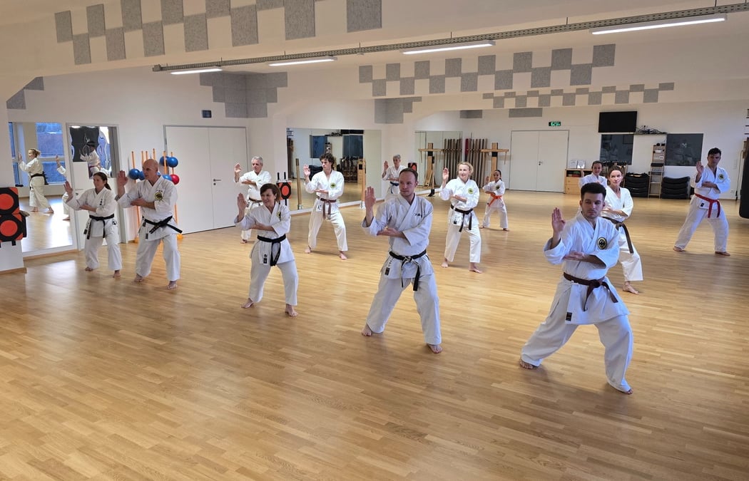 Karate für Anfänger 2