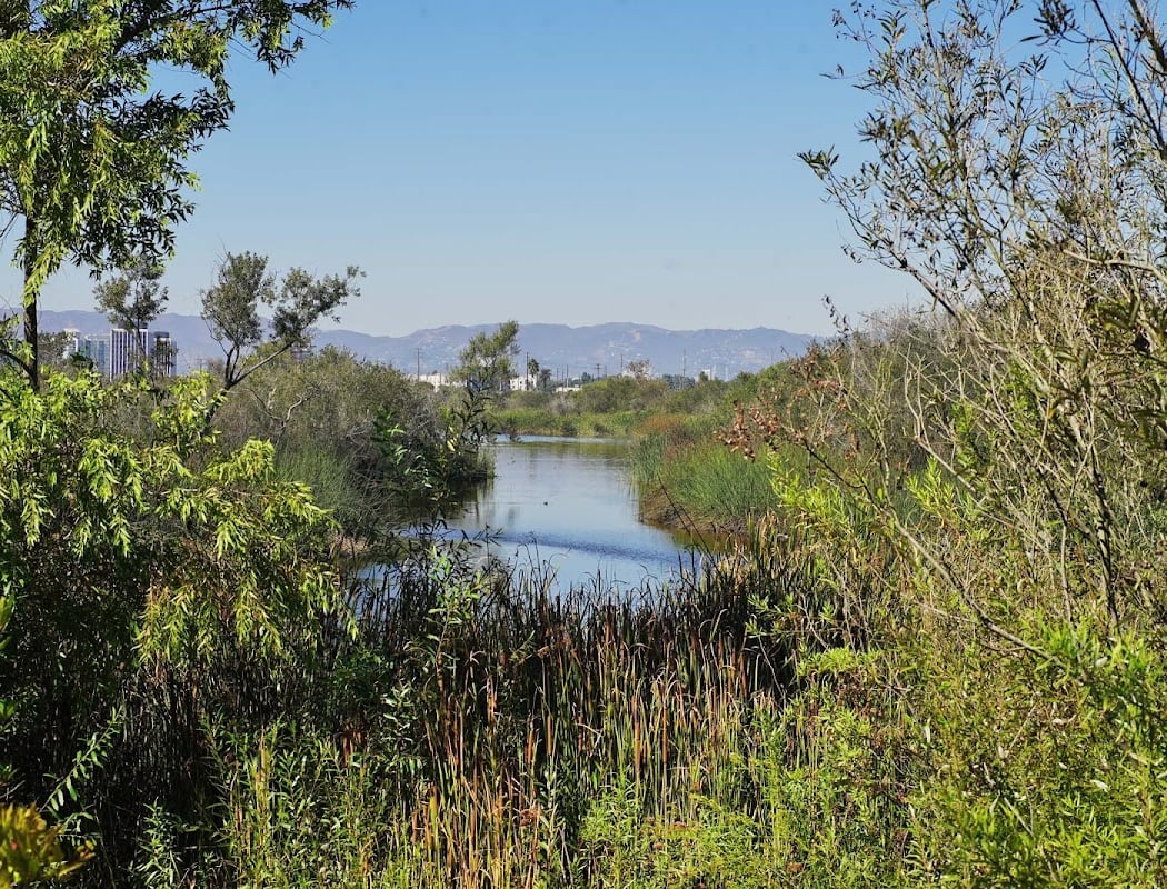 Beginner Birding Tour 3