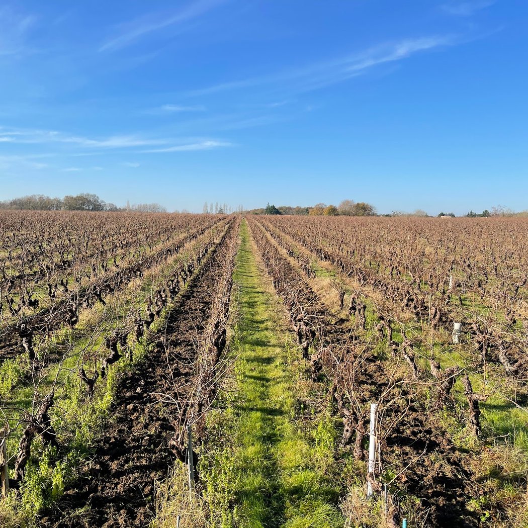 DOMAINE DES HERBAUGES 2