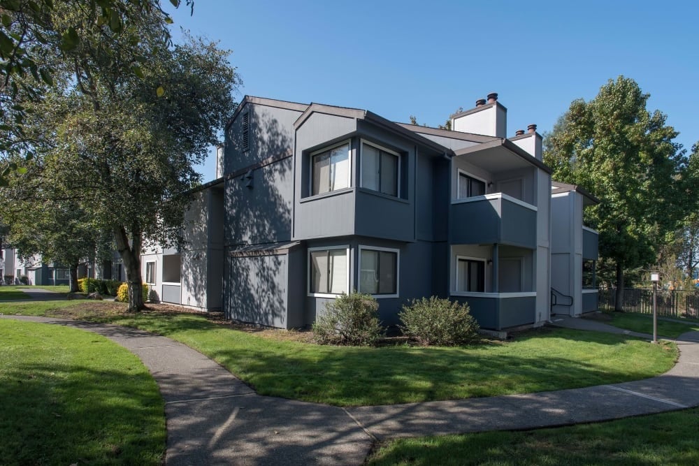 Park Ridge Vibes 3