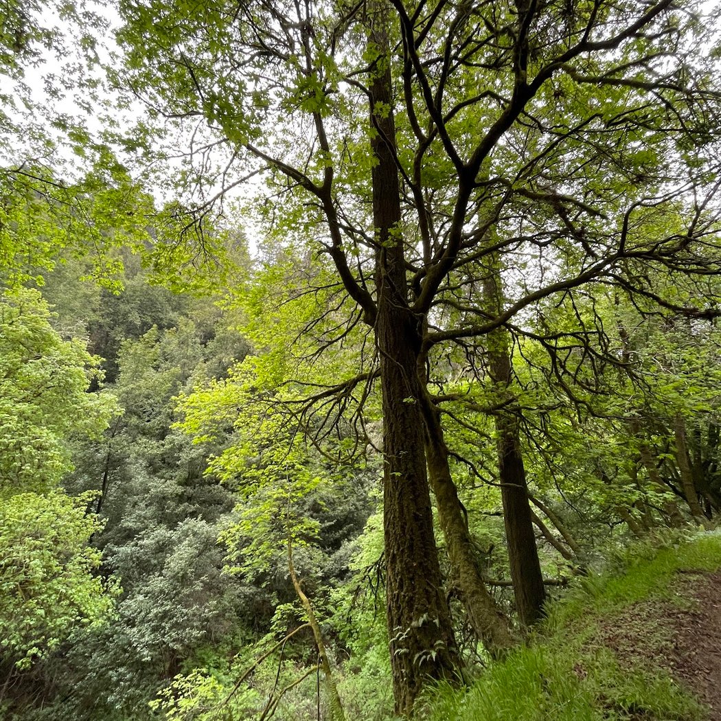 Five Brooks Trailhead 2