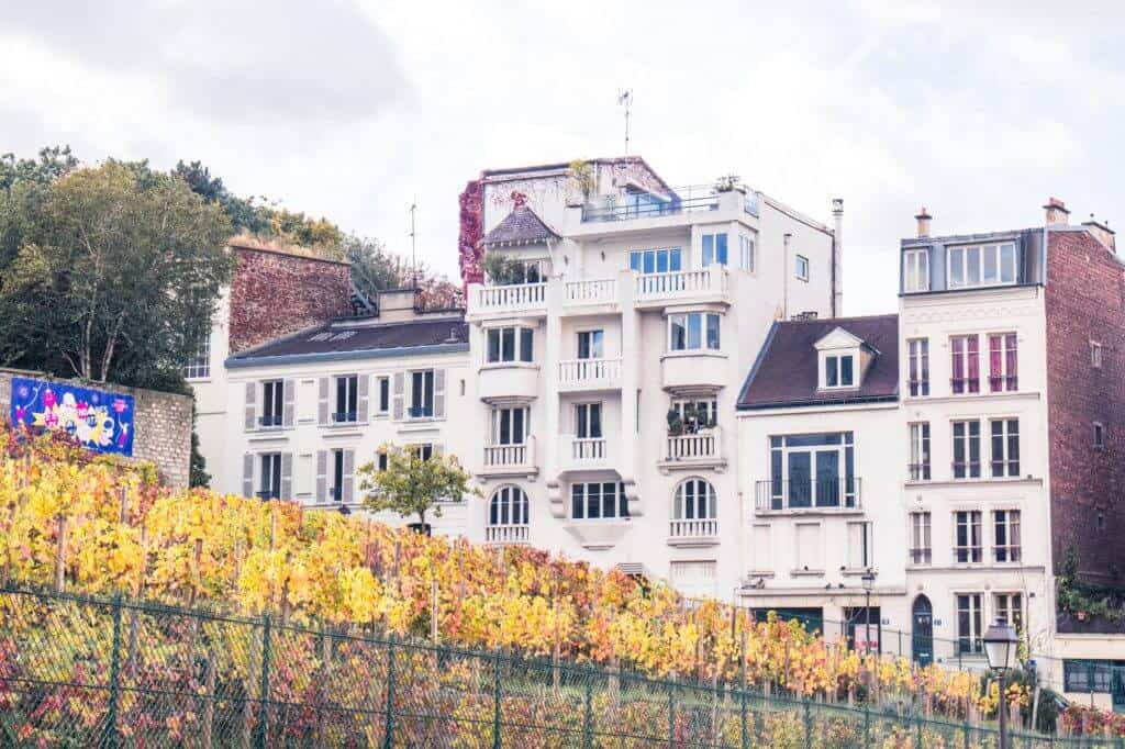 Clos Montmartre 3