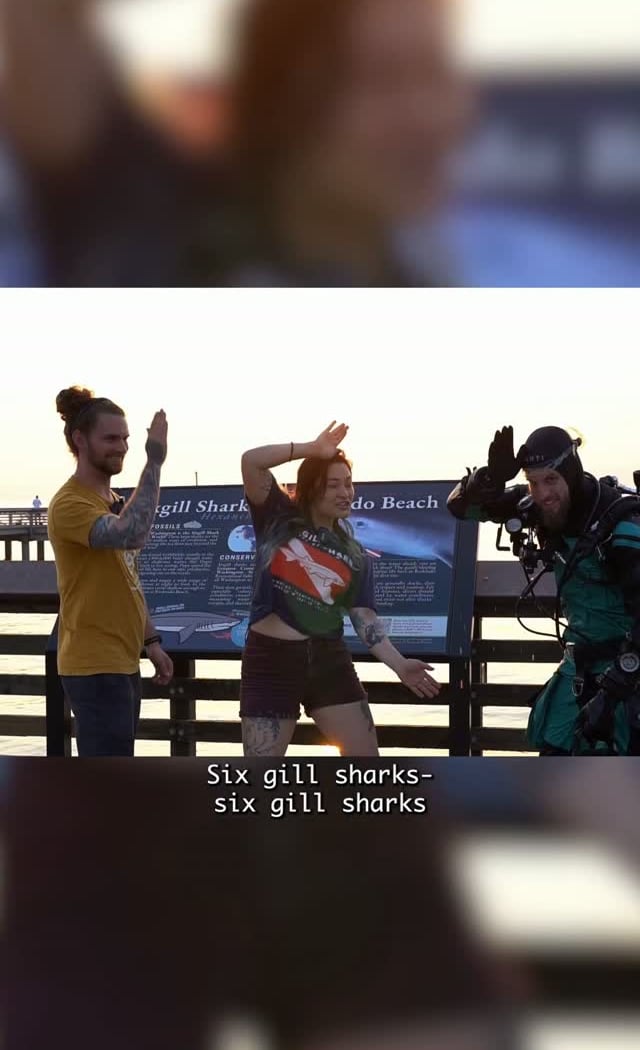 Six gill shark viewing 1