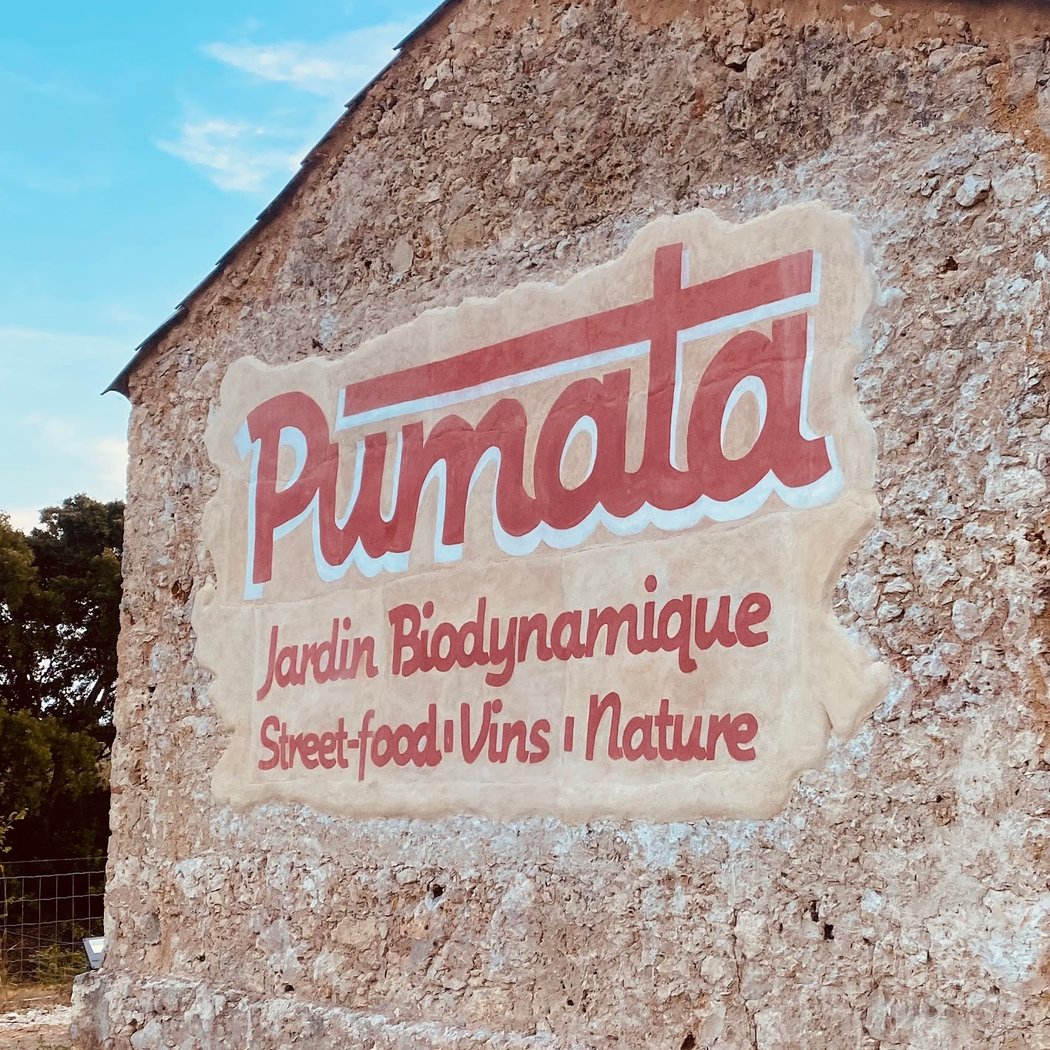 PUMATA 3
