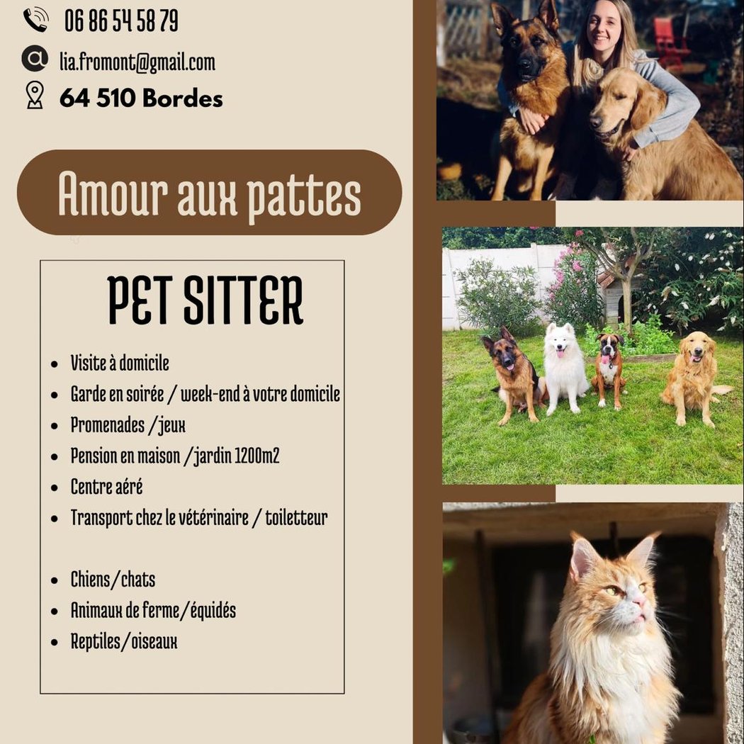 Amour aux pattes - Lia Fromont 1