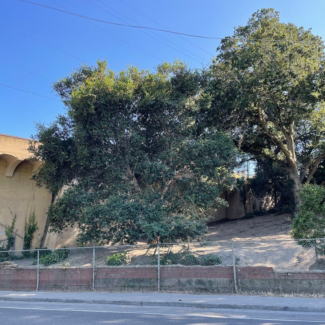 Linda Ave Dog Park 2