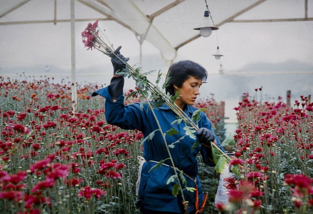 Amour, femmes et fleurs 1