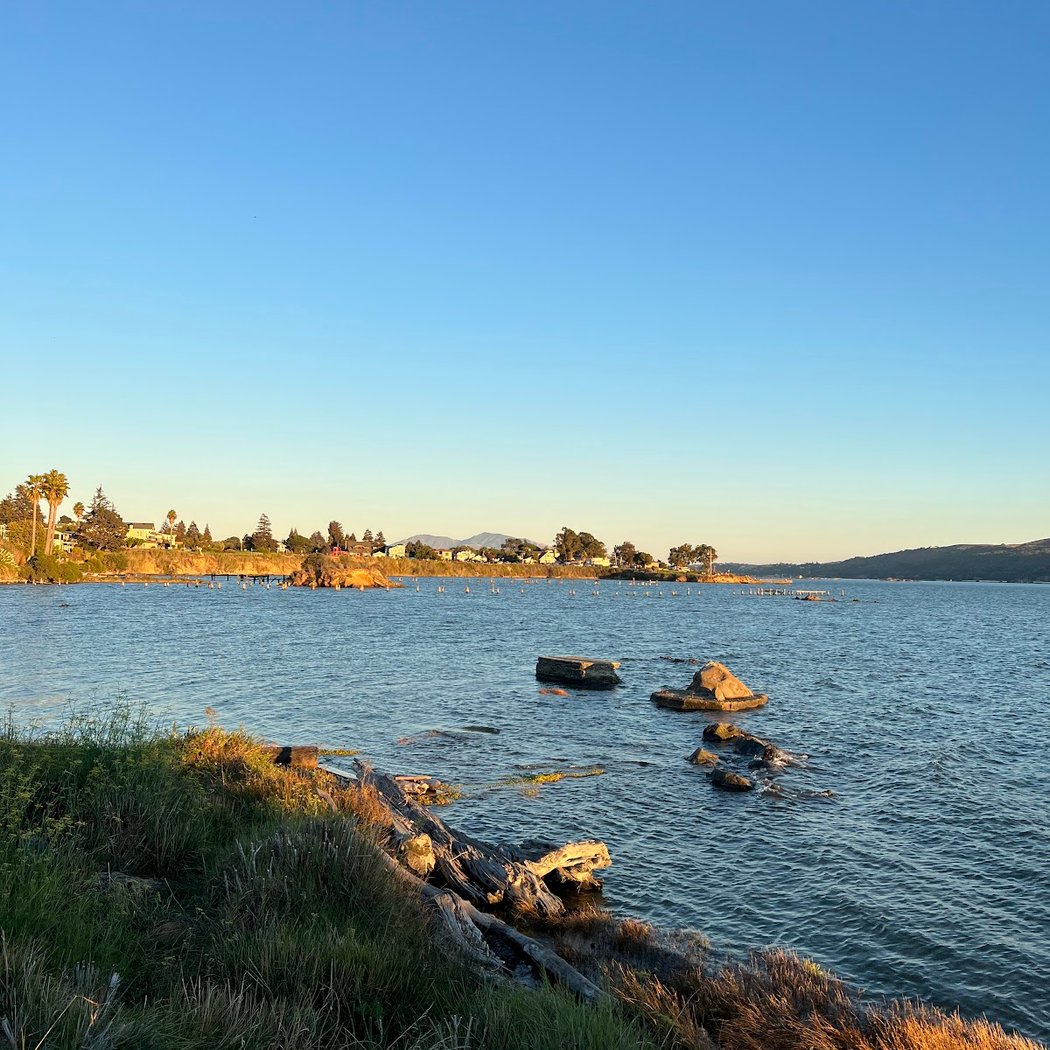 Matthew Turner Park 2