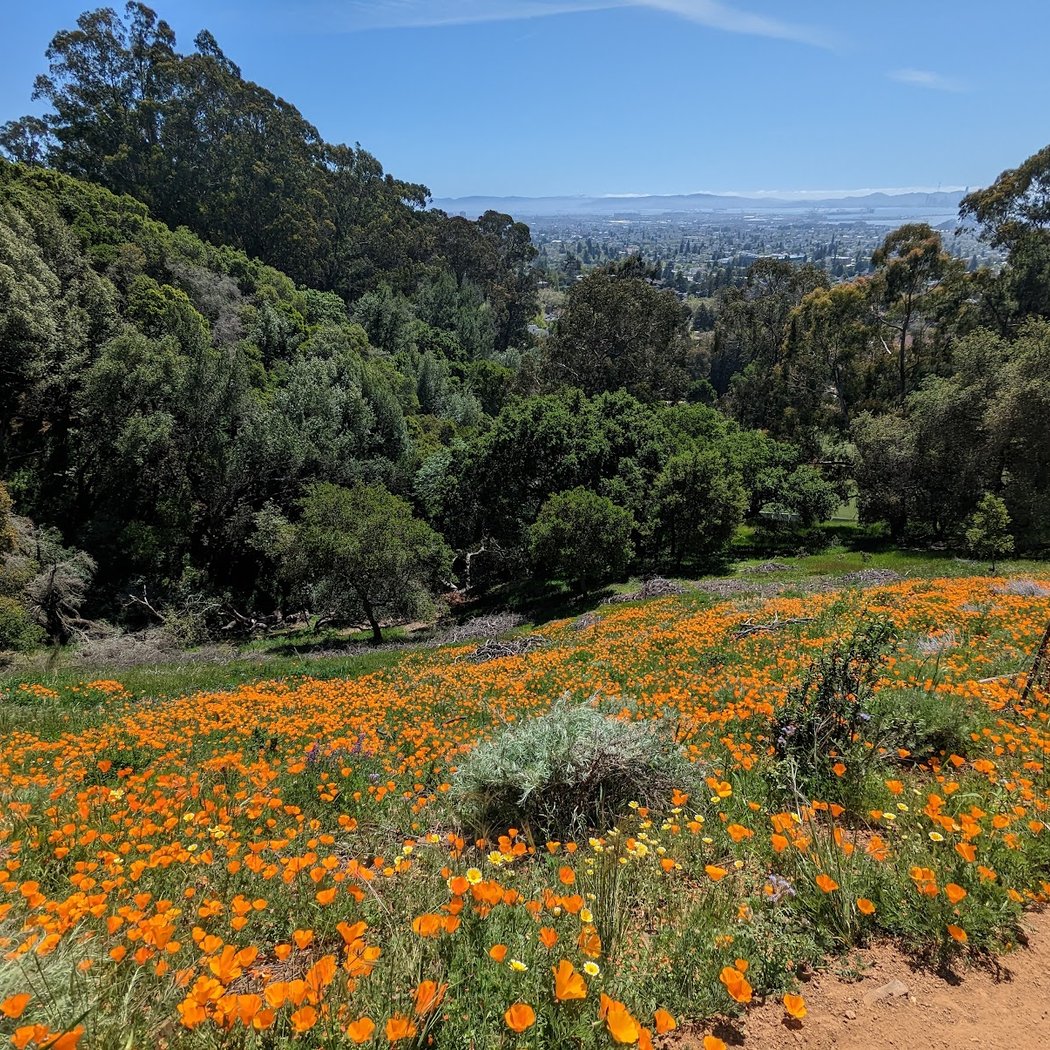Clark Kerr Fire Trail 1