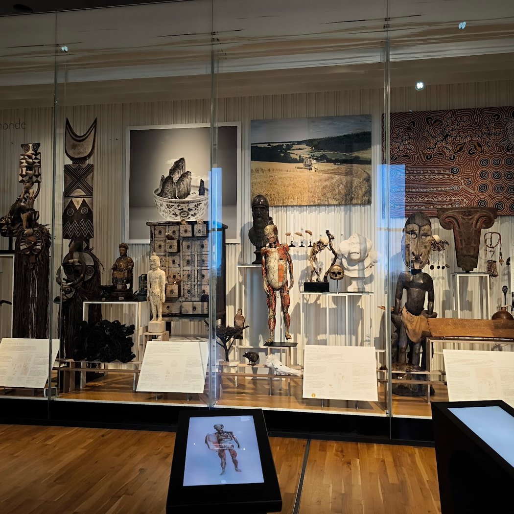 MOMIES exhibition 4