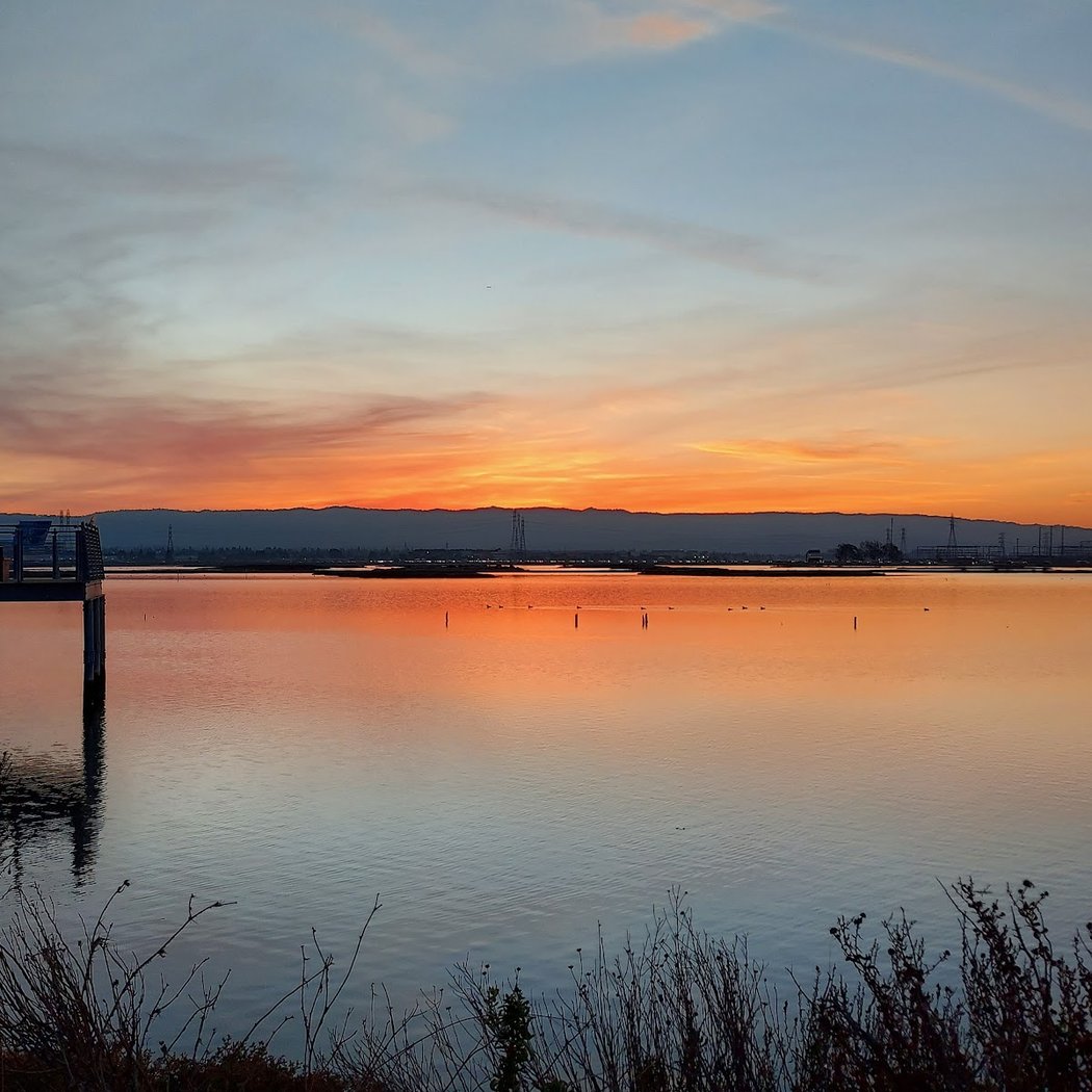 King Tides in Menlo Park 2