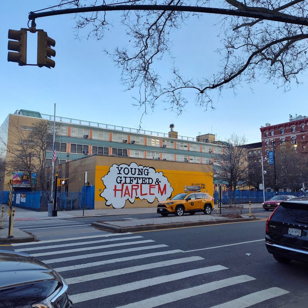 Young & Gifted Harlem 2