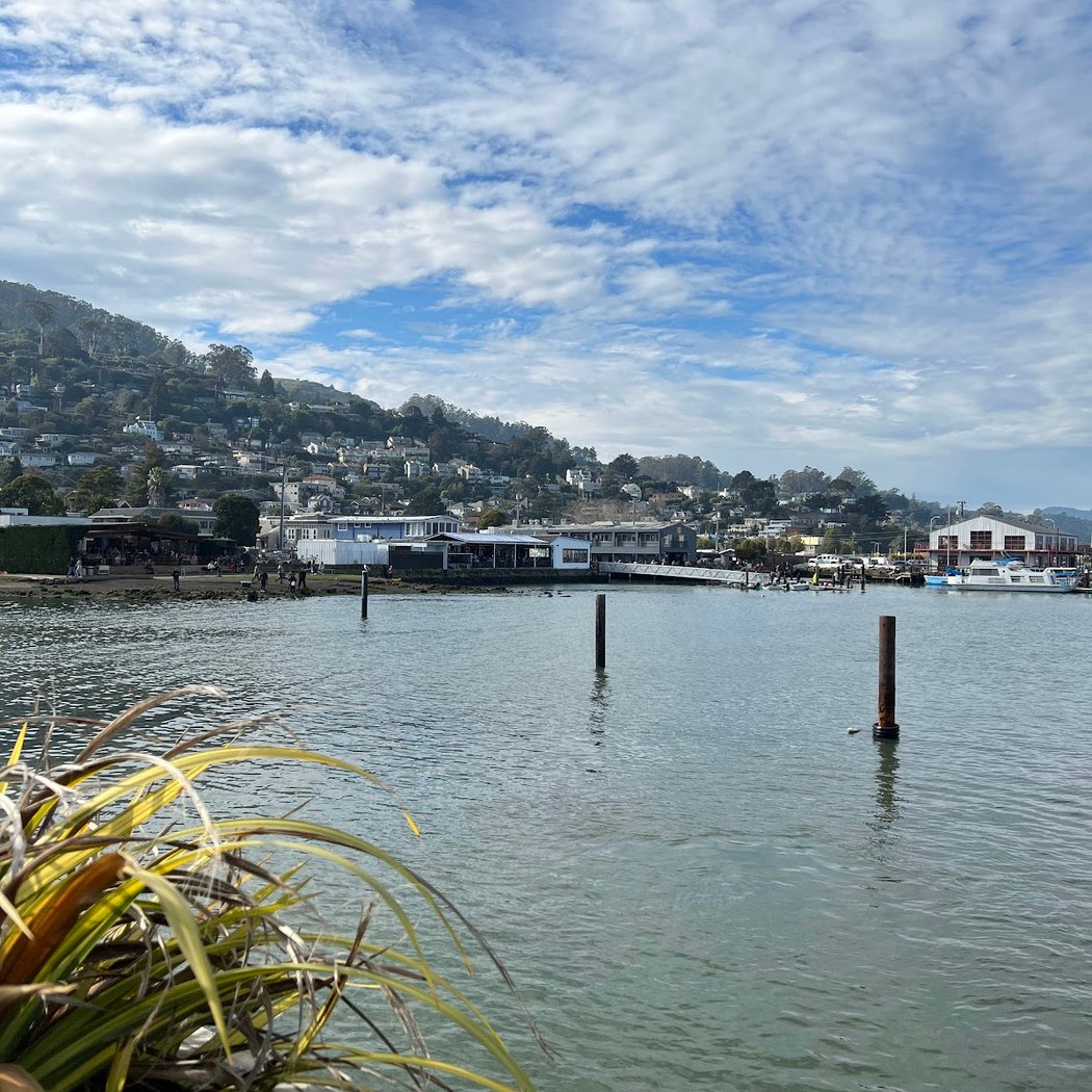 Pelican Harbour 3