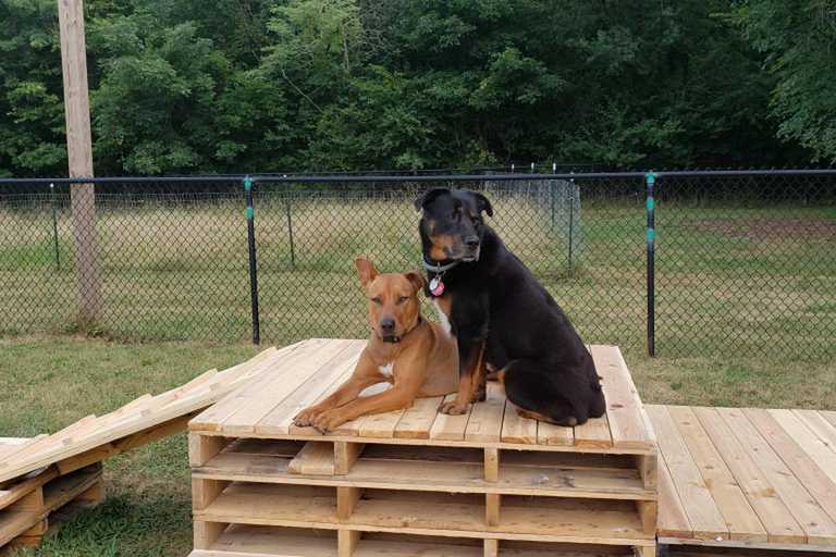 Friends of Beacon Dog Park 1