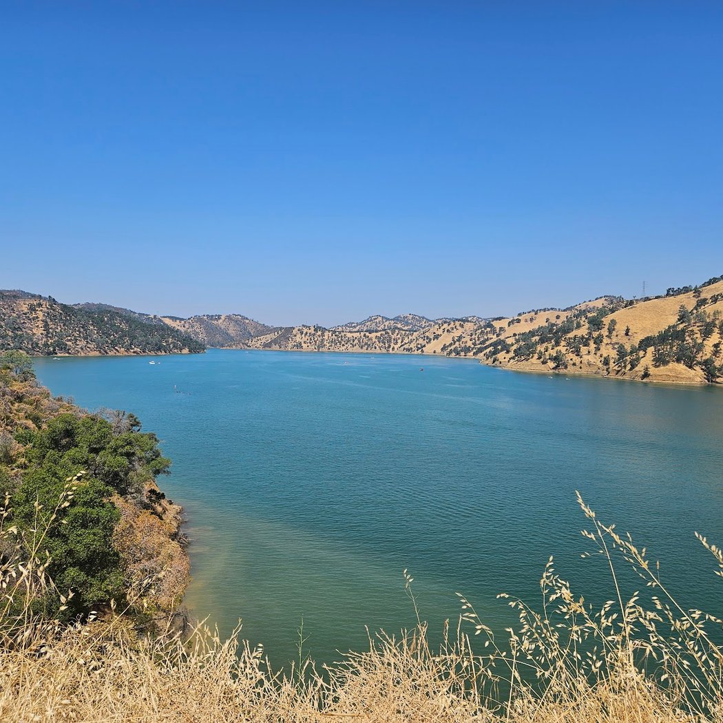 Putah Creek Wildlife Area 2