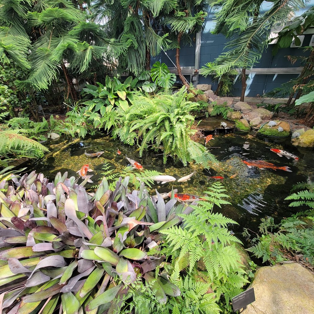 Roger Williams Park Botanical Center 3