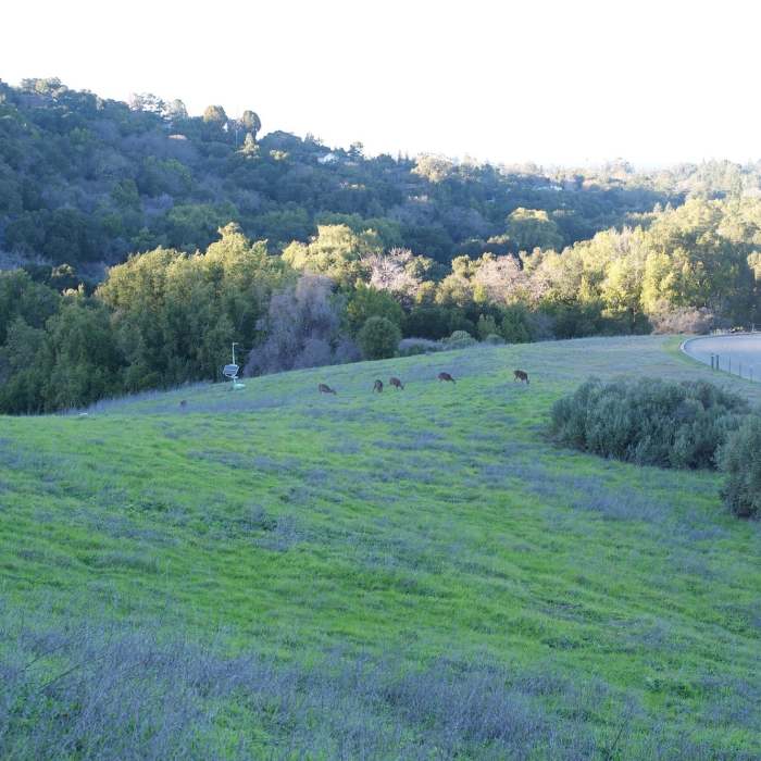 PG&E Trailhead 2