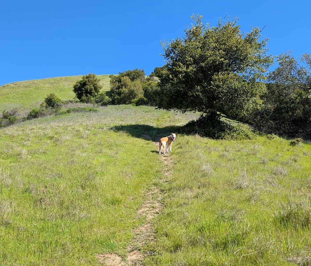 Lucas Valley Homeowners Association 2