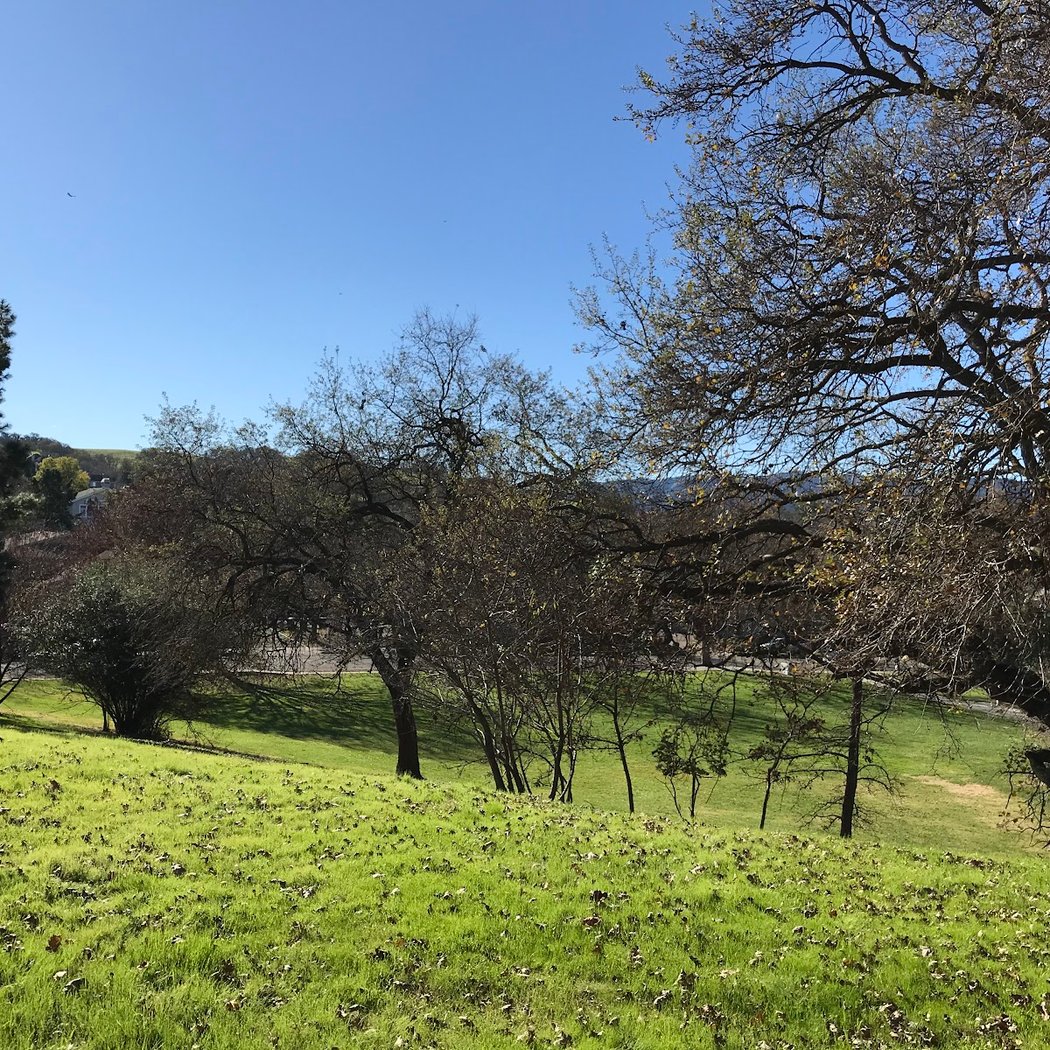 Kottinger Community Park 3