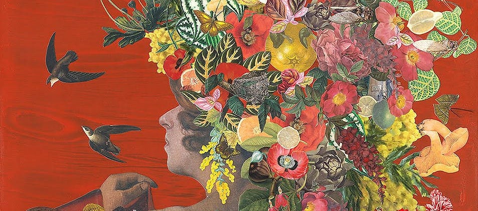 FLORA Blooms & Blossoms 1
