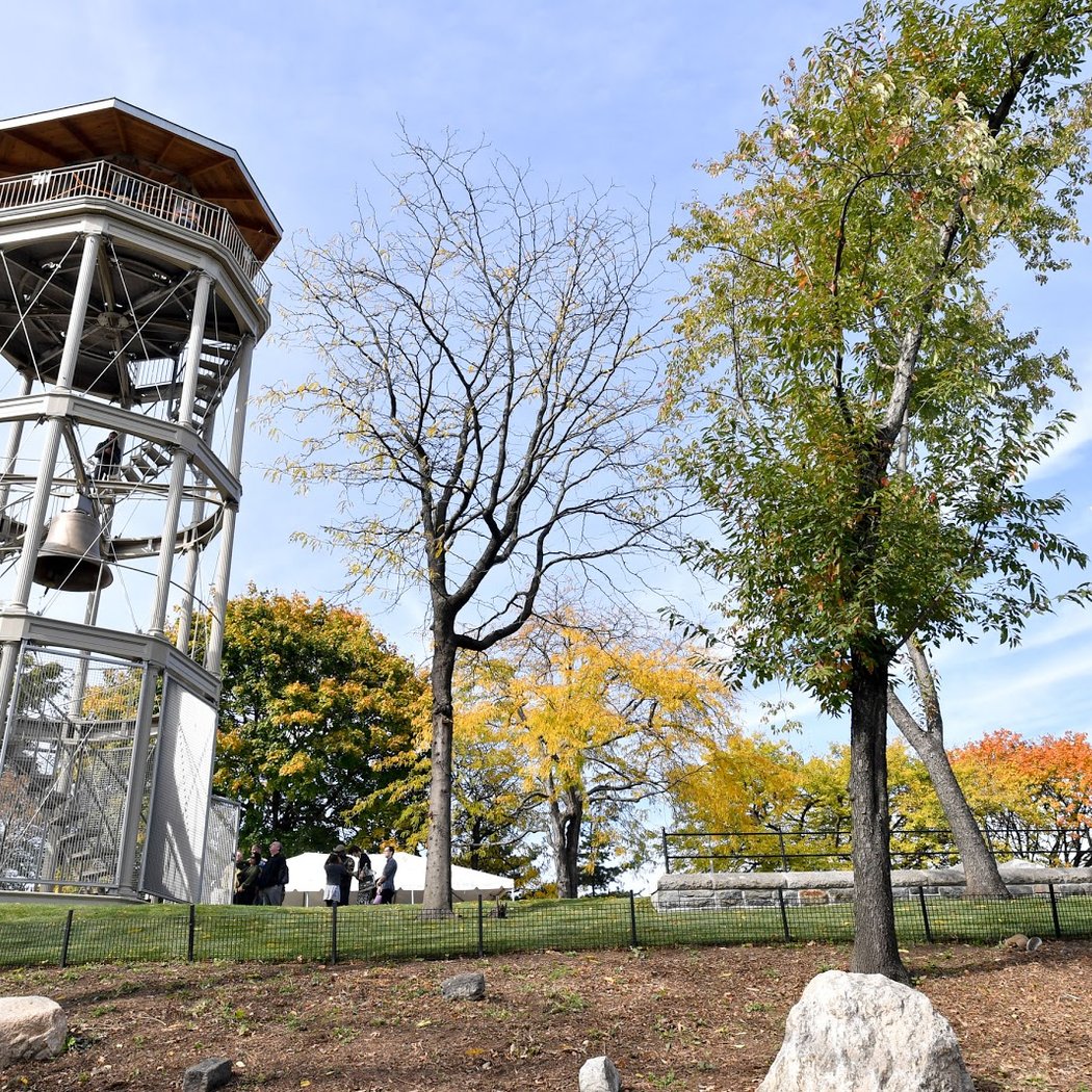 Mount Morris Fire Watchtower 3
