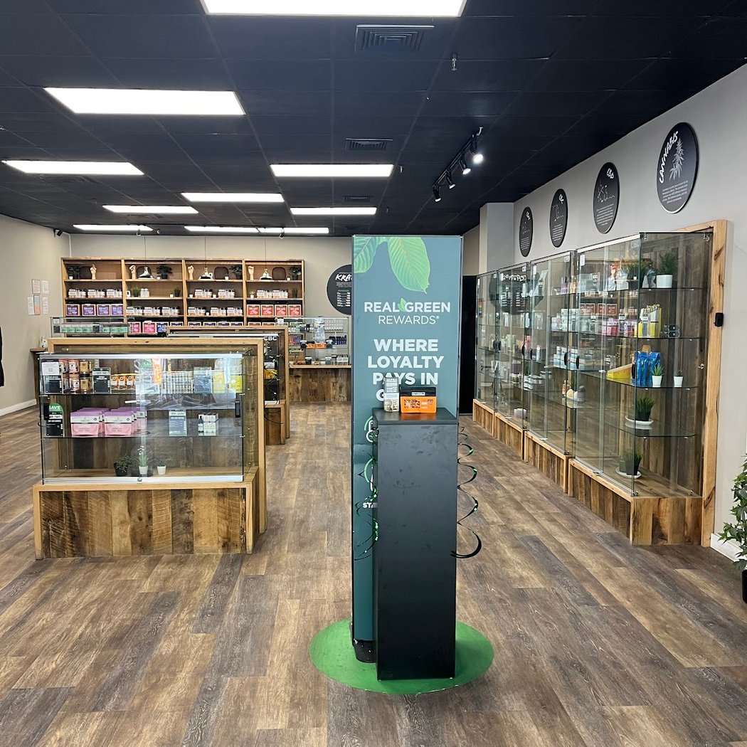 CBD Kratom Forest Hills 1