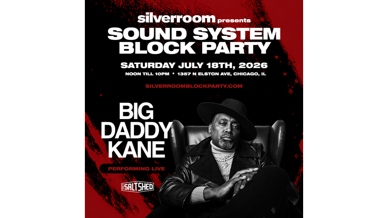 The Silver Room Sound System Block Party 1