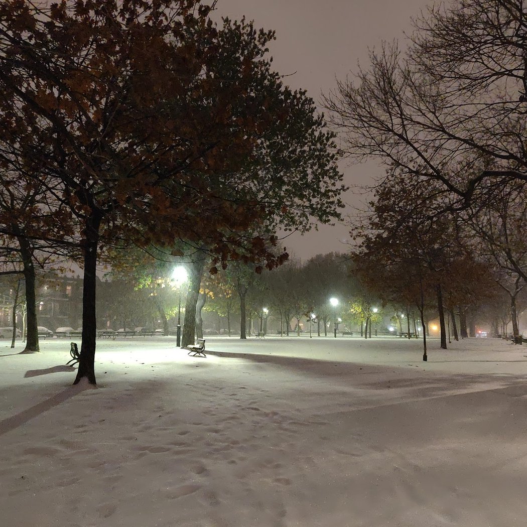 Montréal Boréal 2