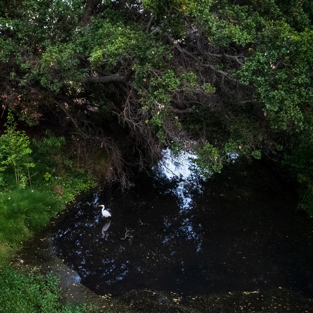 Bridge Over Pinole Creek 1