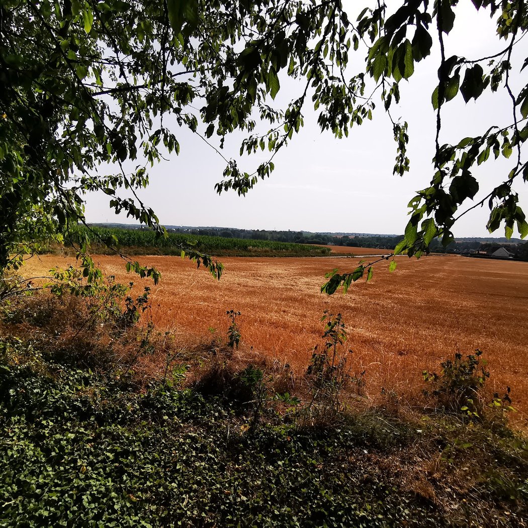 La Coulée Verte par Bacouel-sur-Selle 3