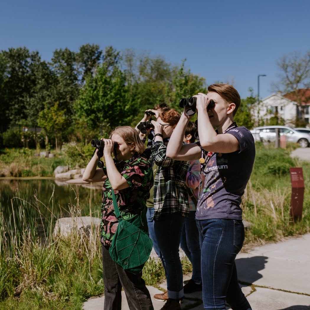 Bell Museum Open Birding (FREE)