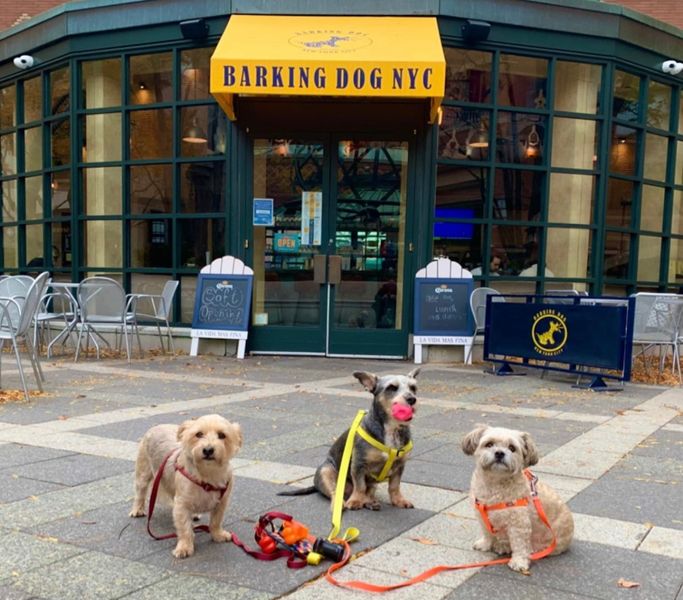 Barking Dog Hell’s Kitchen 4
