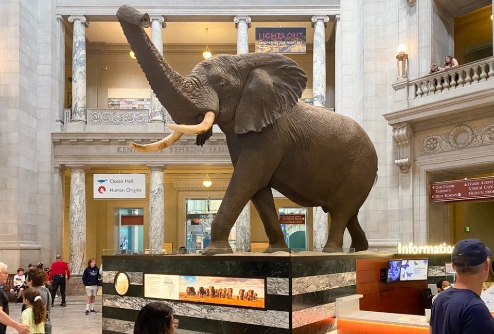 Smithsonian National Museum of Natural History 3