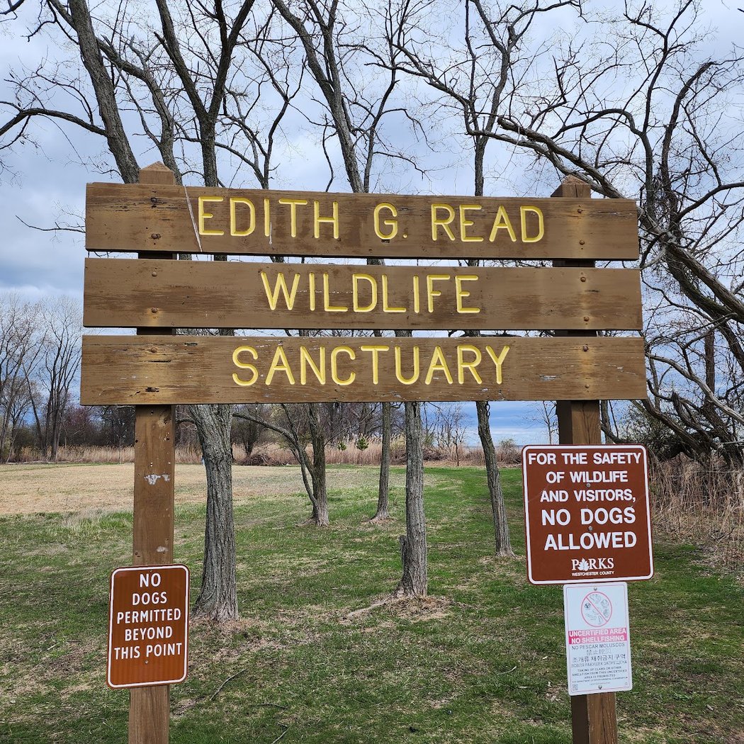 Edith Read Wildlife Sanctuary 2