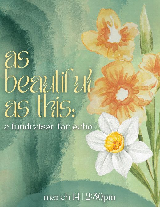 as beautiful as this: a fundraiser for echo 1