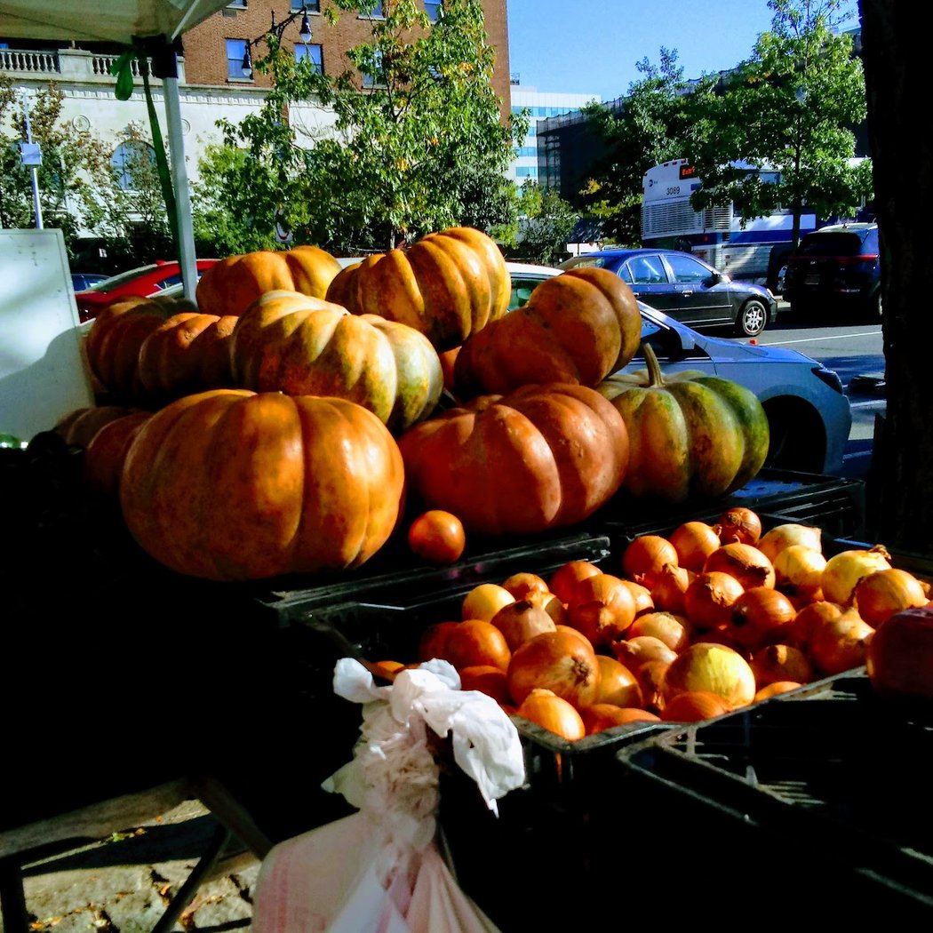Bronx Borough Hall Farmers Market 2