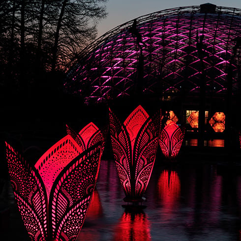 Patterns in Nature: LightForm 3